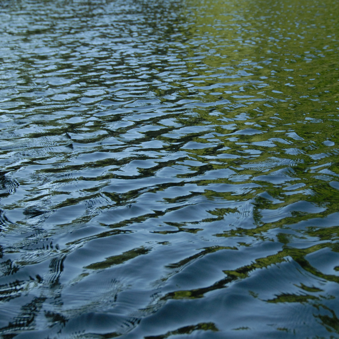 New Mexico Wild Advocates for State-led Water Quality Permit Program