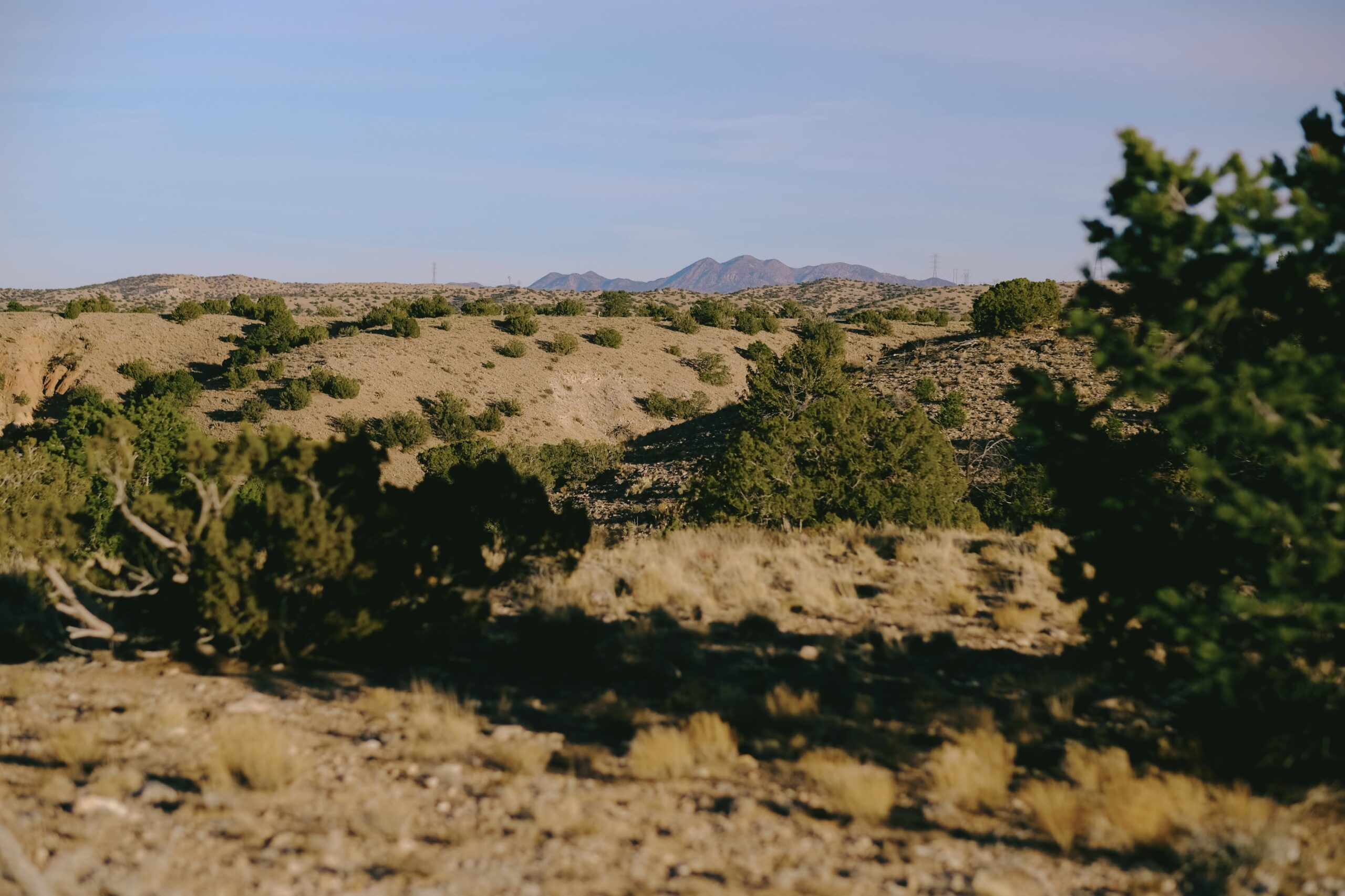 Interior Department Withdraws Buffalo Tract Near Placitas from Mineral Development for 50 Years