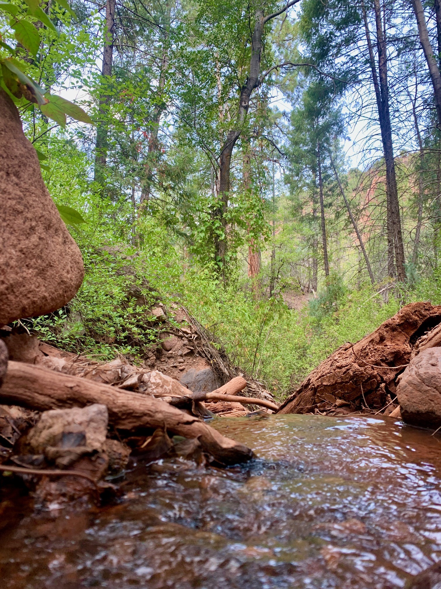 2,092 Acres Added to the Santa Fe National Forest in the Jemez River Valley!