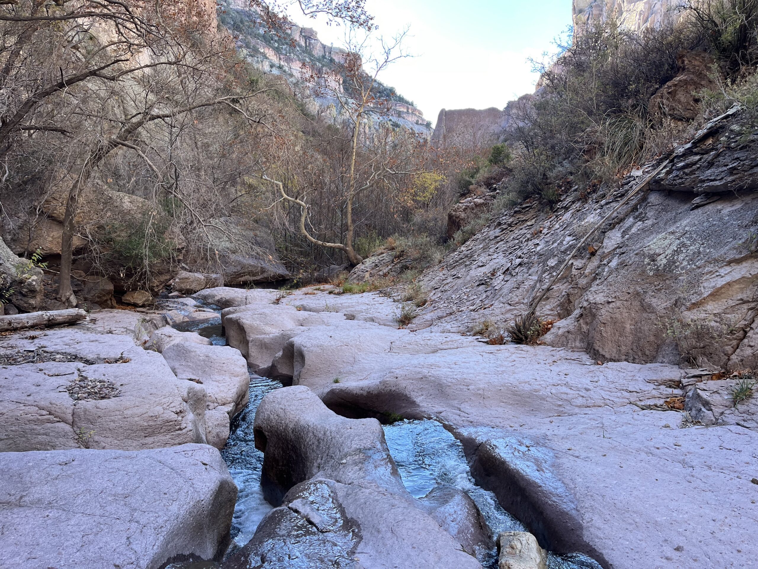 New Mexico Wild joins organizations in submitting comments on BLM Rio Puerco Field Office EA for Placitas Administrative Mineral Withdrawal