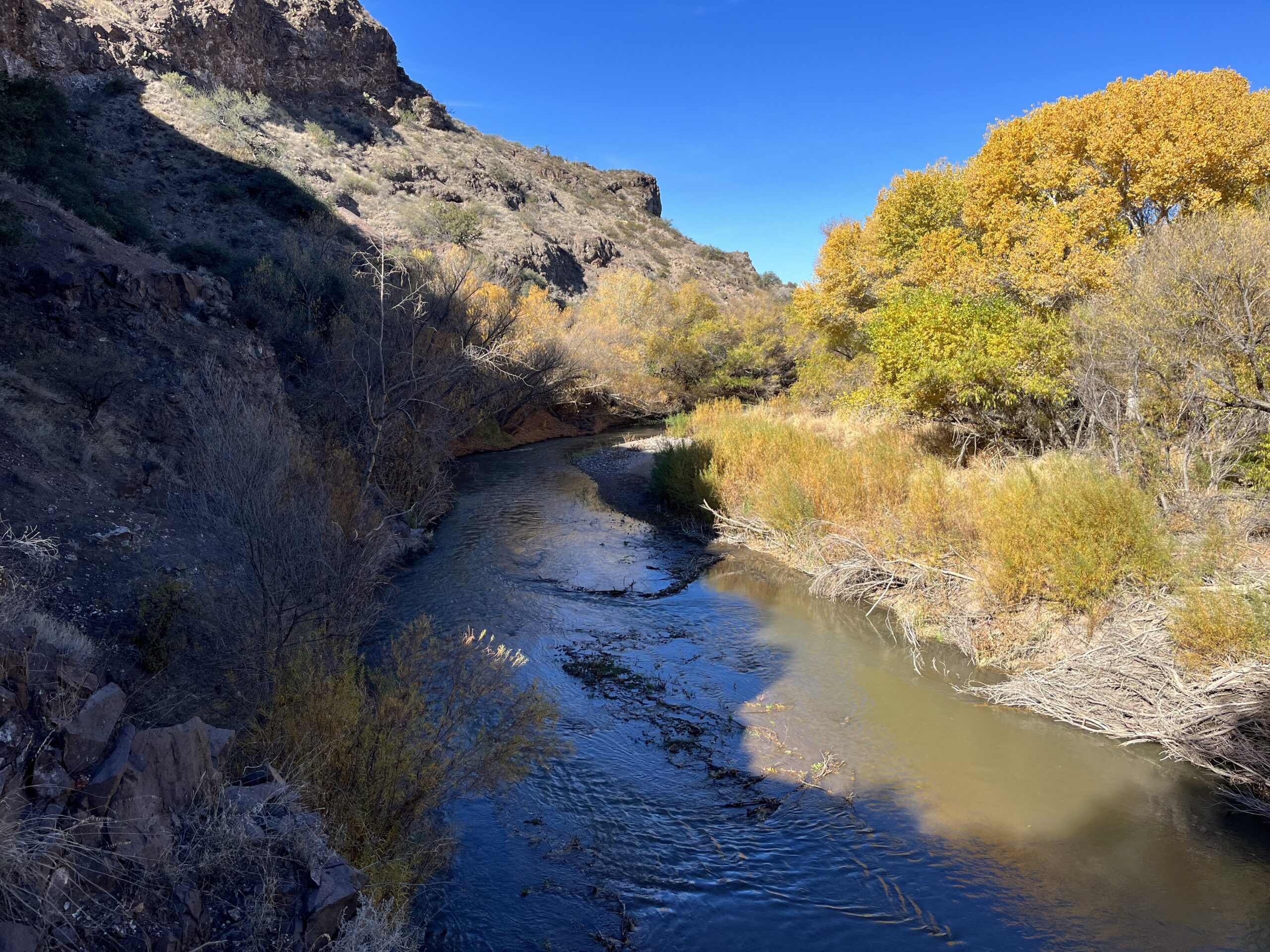 Grant County’s 2024 Tribute to Gila Wilderness Recognizes Visionary Conservation Action