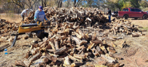 Three volunteers sort a large pile of cut wood