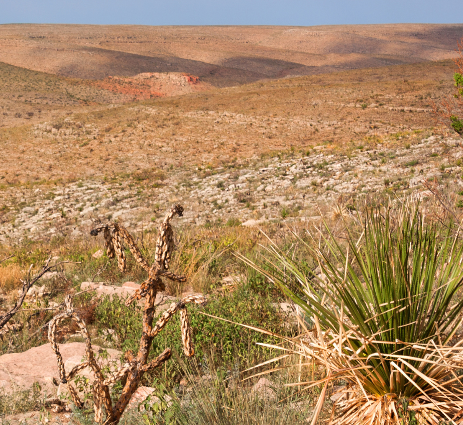 BLM Defers Oil and Gas Leases Near Carlsbad Caverns