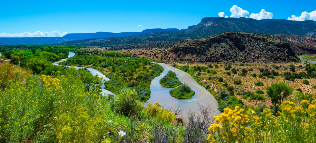 Richard Eeds Show Discusses Controversial Grasshopper Spraying Proposal With New Mexico Wild’s Sally Paez and Garrett VeneKlasen