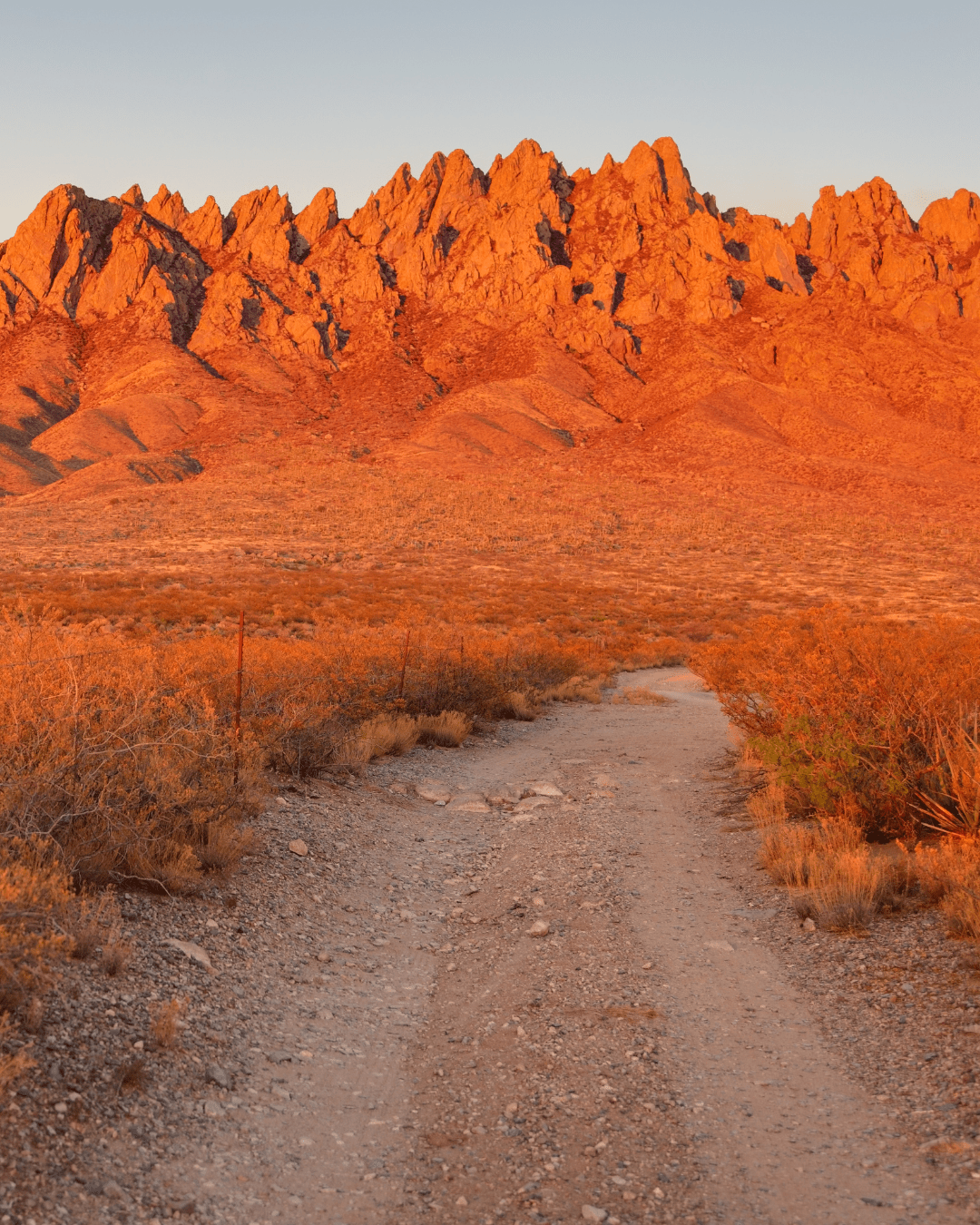 Webinar: The Fight to Keep Public Lands in Public Hands