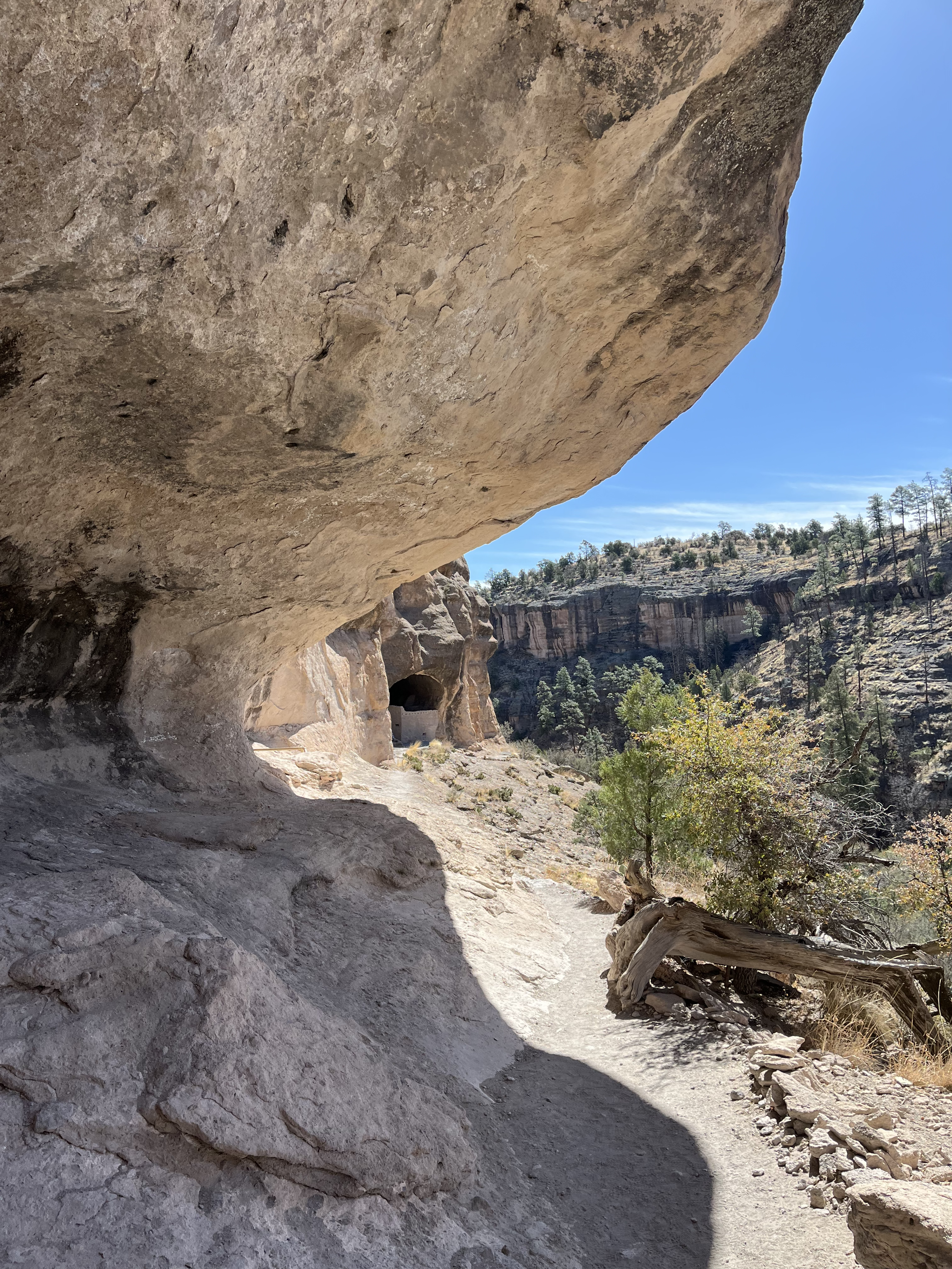 Gila Cliff Dwellings Canyon Ecology Workshop & Invasive Plants Project