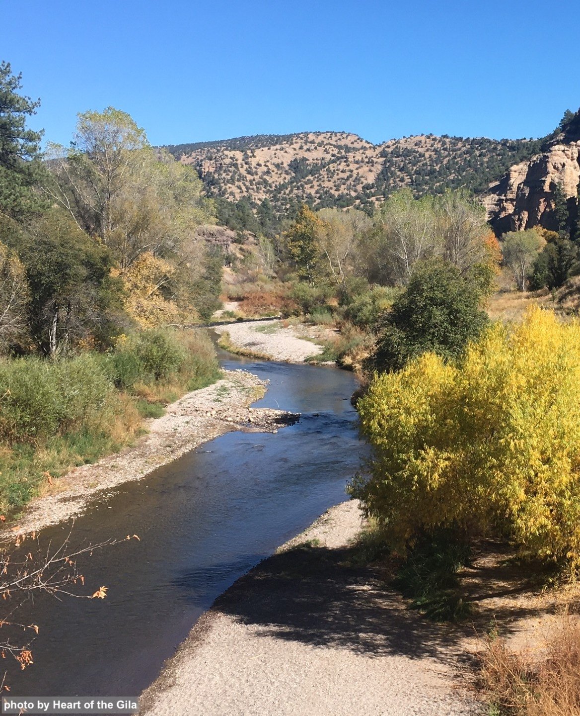 (Cancelled due to fires) Gila Headwaters – Wild and Scenic River Restoration Invasive Plant Project