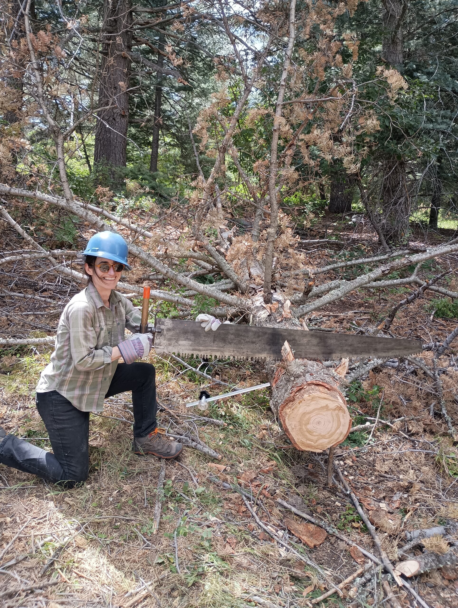 Rociada Trail Maintenance in the Pecos Wilderness