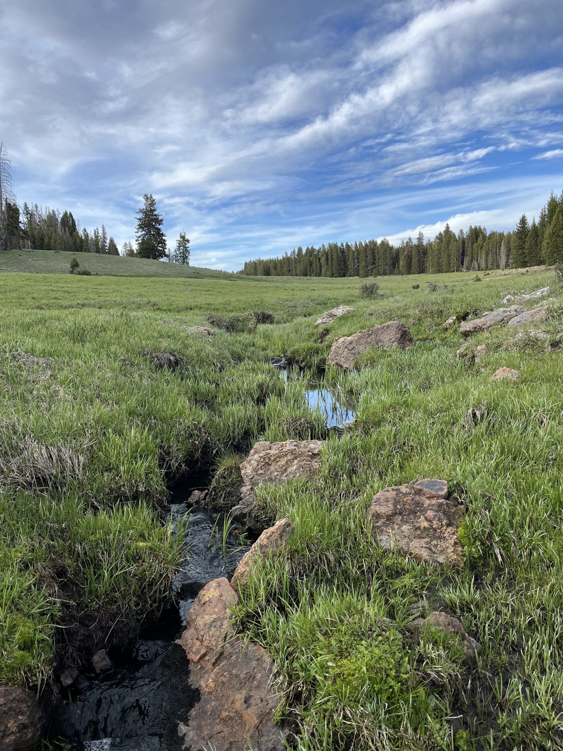 Volunteer with NM Wild Rangers: San Pedro Parks Trail Project