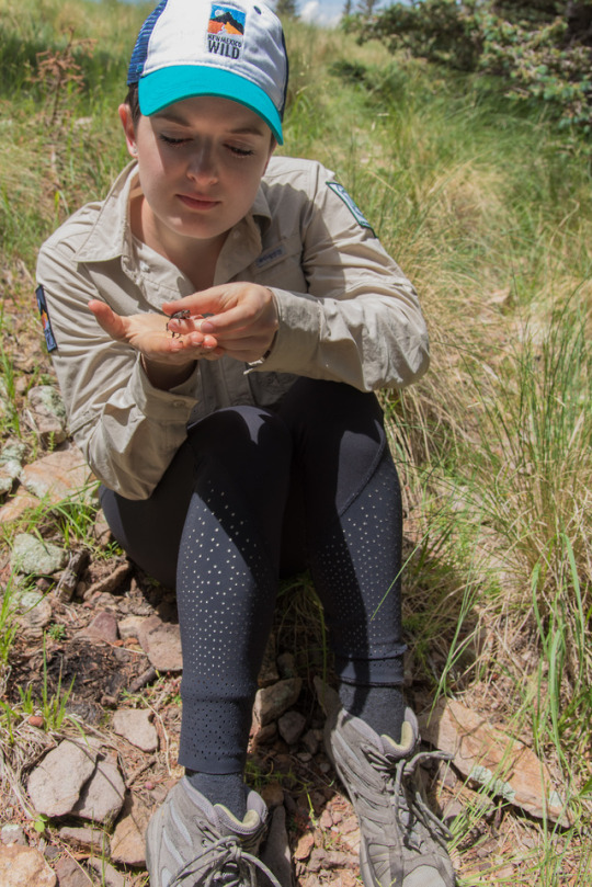 This image has an empty alt attribute; its file name is creative-mind-2-ranger-blog-2019.jpg