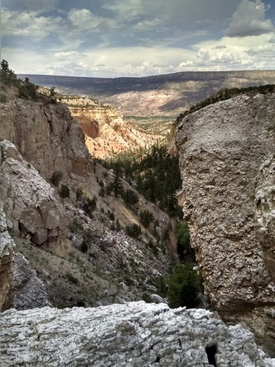 Looking down Cañada del Potrero