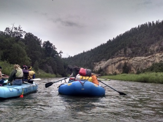 Rafters on Rio Chama