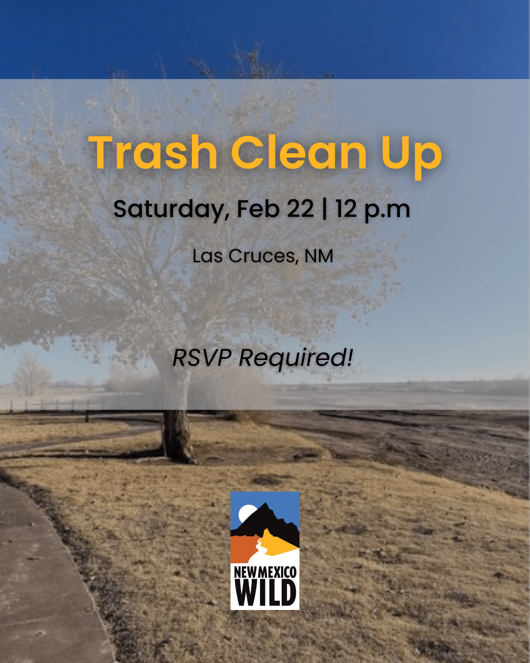 Rio Grande Trash Cleanup