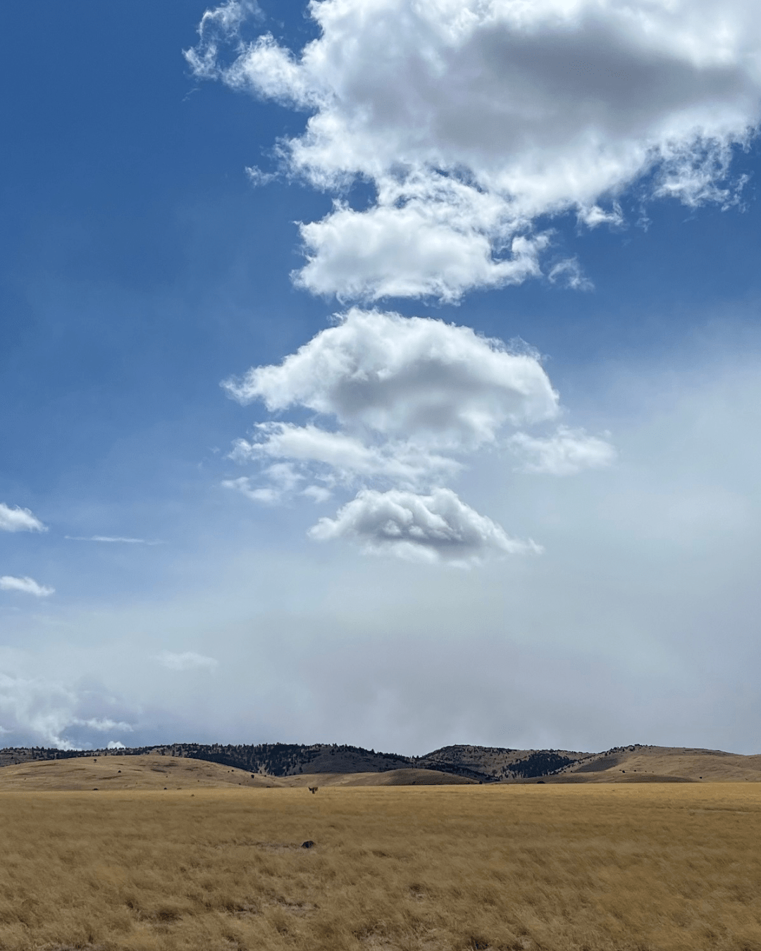 Continental Divide Wilderness Study Area Outing
